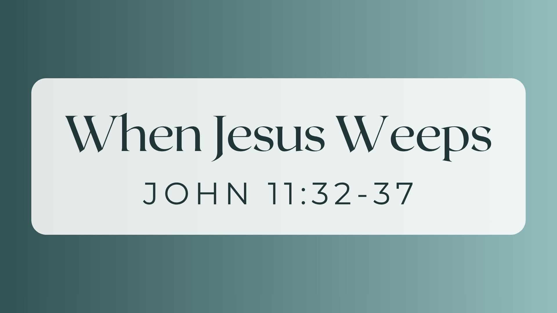 When Jesus Weeps -Kelly McCuaig