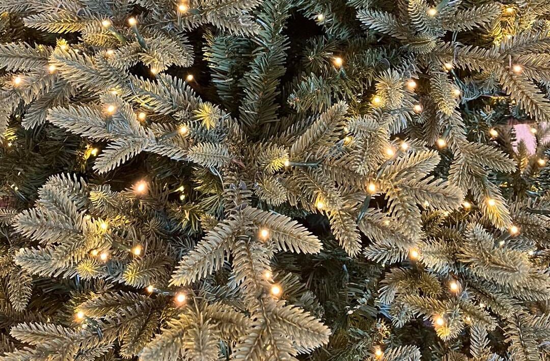 Christmas-services-in-mandan Christmas-services-in-carlsbad