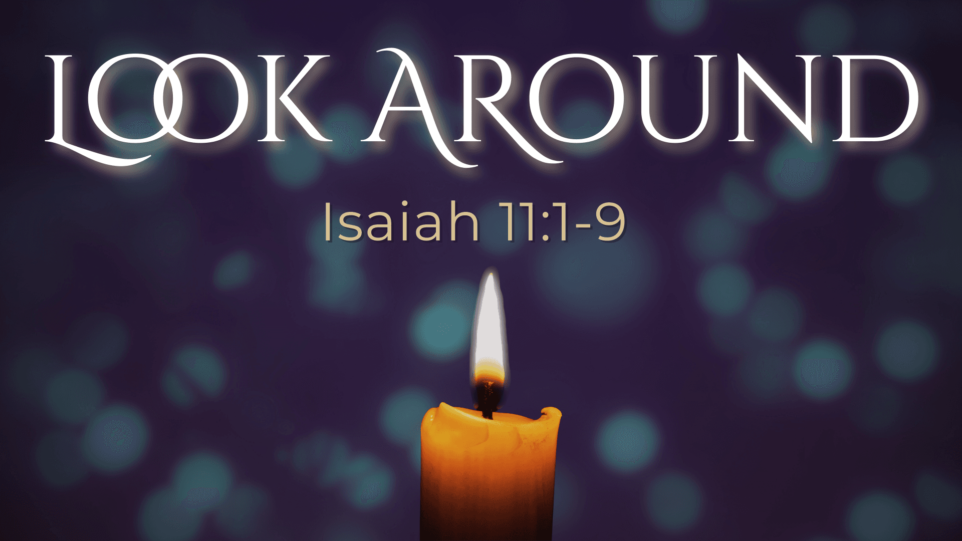 Look Around! – Kelly McCuaig