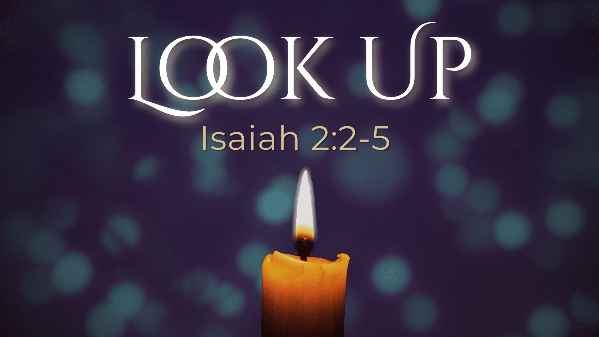 Look up! – Kelly McCuaig